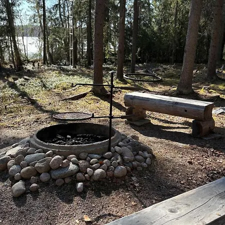 Maentypirtti Log