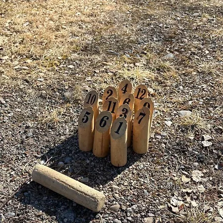 Maentypirtti Log דירה